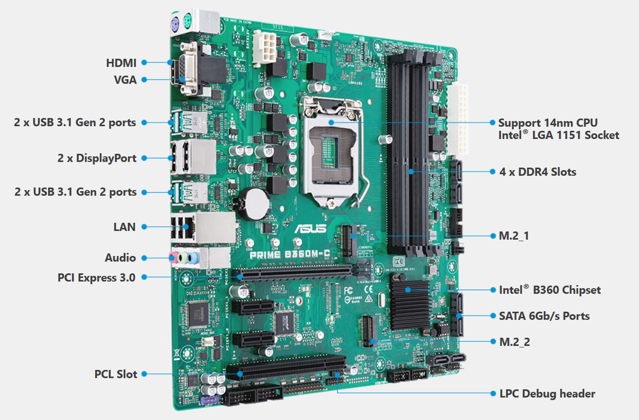 c1_ports & connectors_ASUS PRIME B360M-CCSM